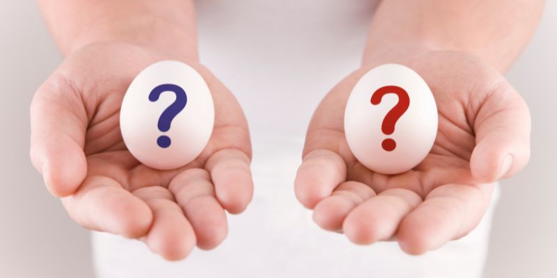 人事評価システムの選び方とは？おすすめの選定手順を紹介