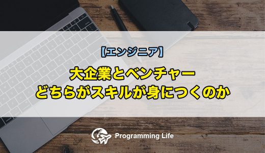 【エンジニア】大企業とベンチャー、どちらがスキルが身につくのか？